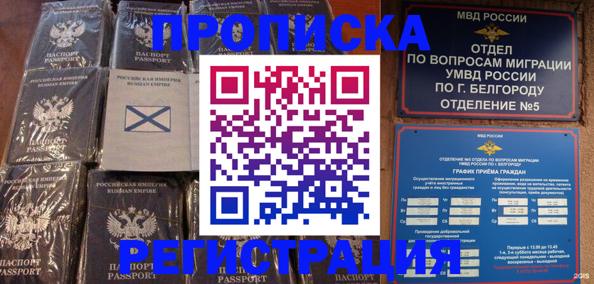 прописка гарантия в Новом Осколе